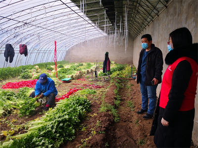 產(chǎn)業(yè)與保險(xiǎn)深度融合 人保與首農(nóng)共抗新冠疫情的新模式落地